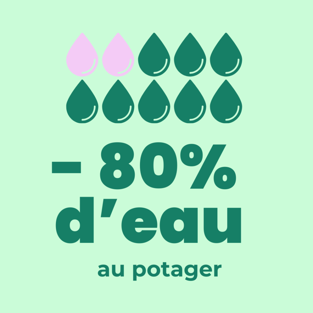 potager permaculture eau
