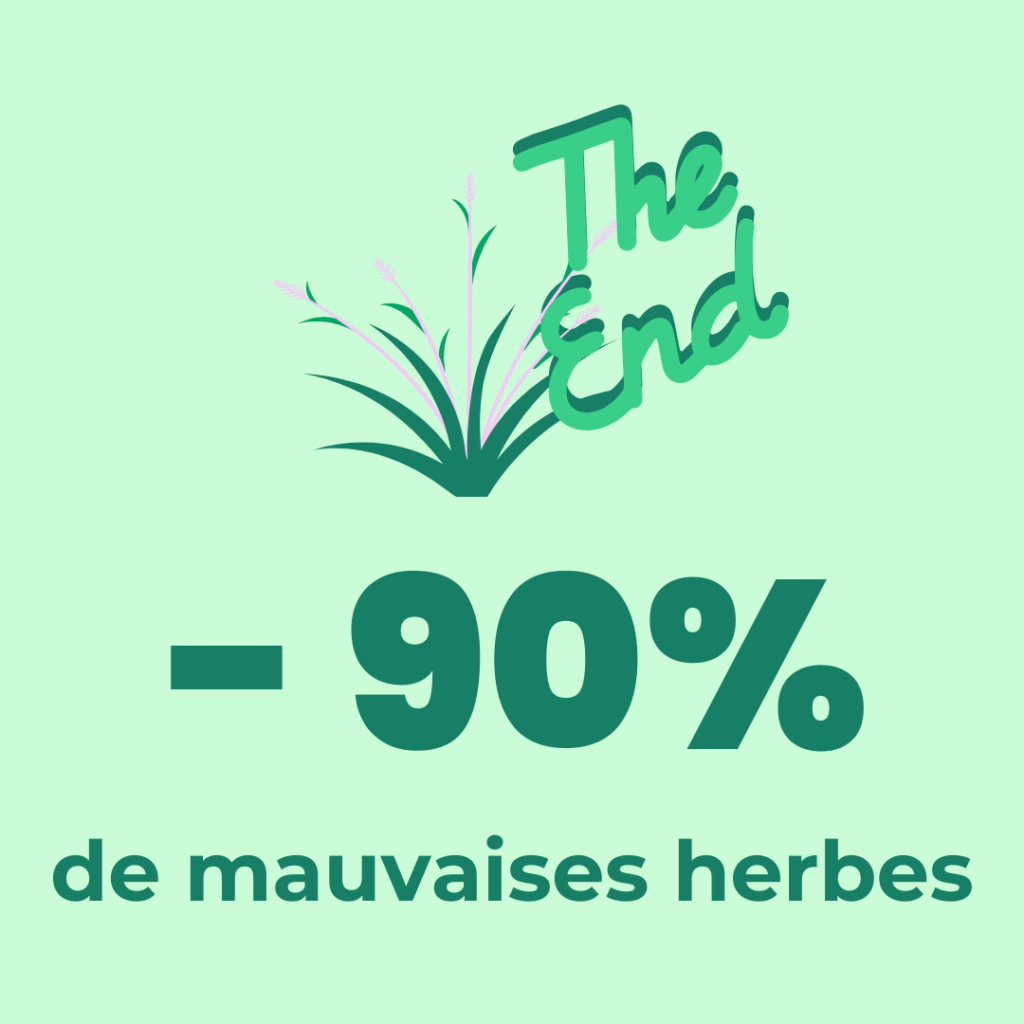 potager permaculture mauvaises herbes
