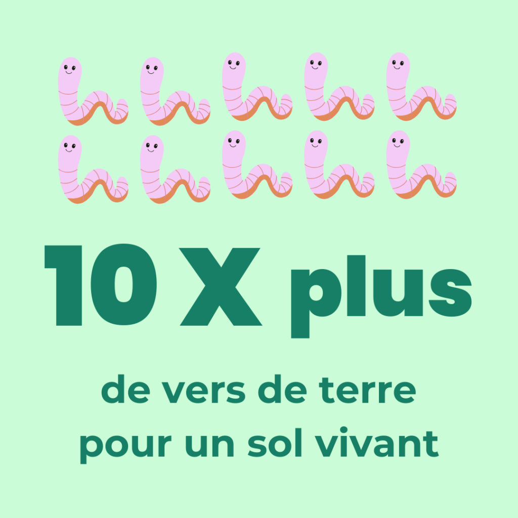 potager permaculture vers de terre