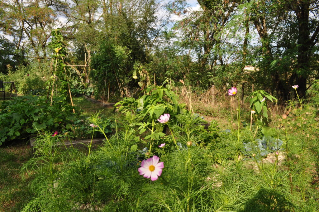 potager permaculture jardin
