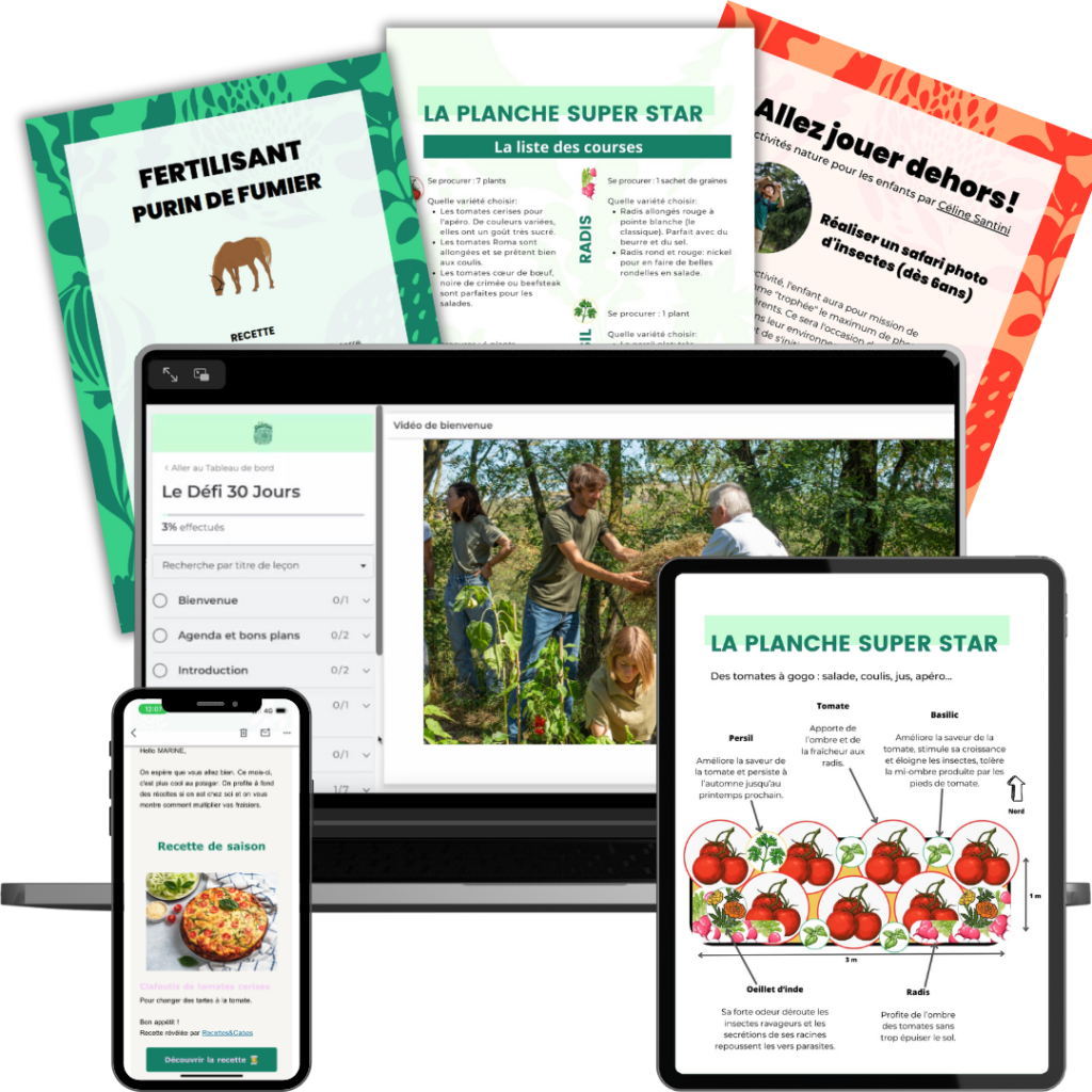 formation permaculture