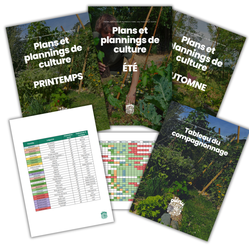 association légumes potager