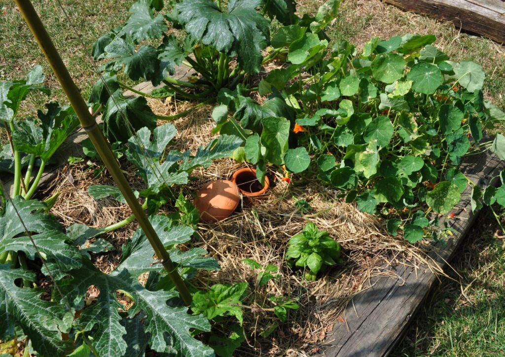 construction potager lyon