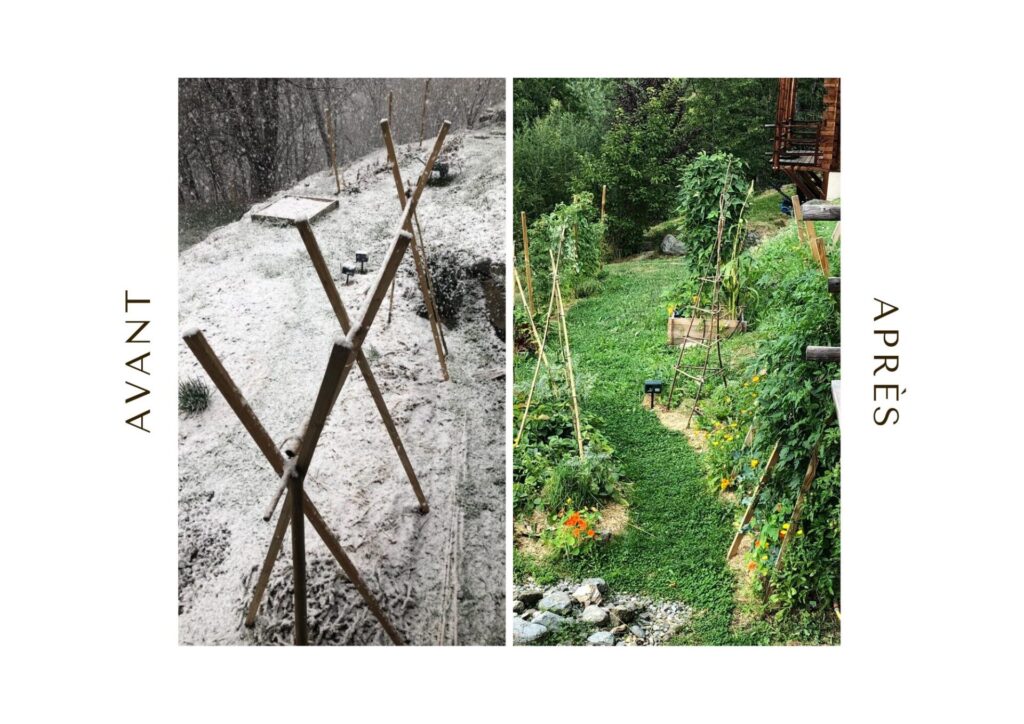 formation permaculture en ligne