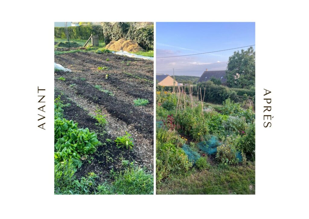 formation permaculture en ligne