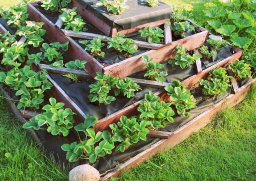 construction potager lyon