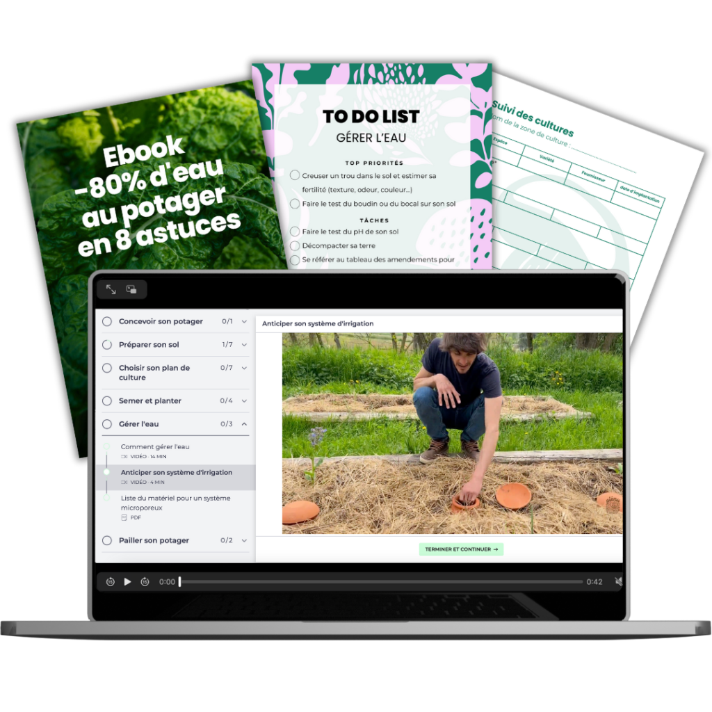 arrosage potager
