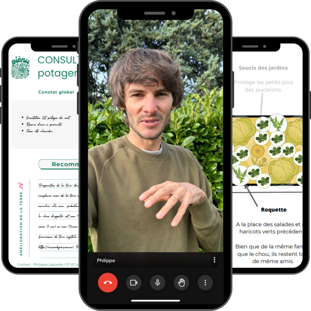 plan potager design personnalisé sur mesure