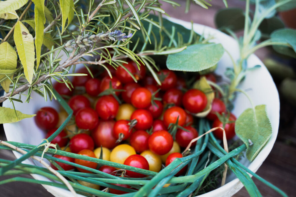 formation permaculture en ligne