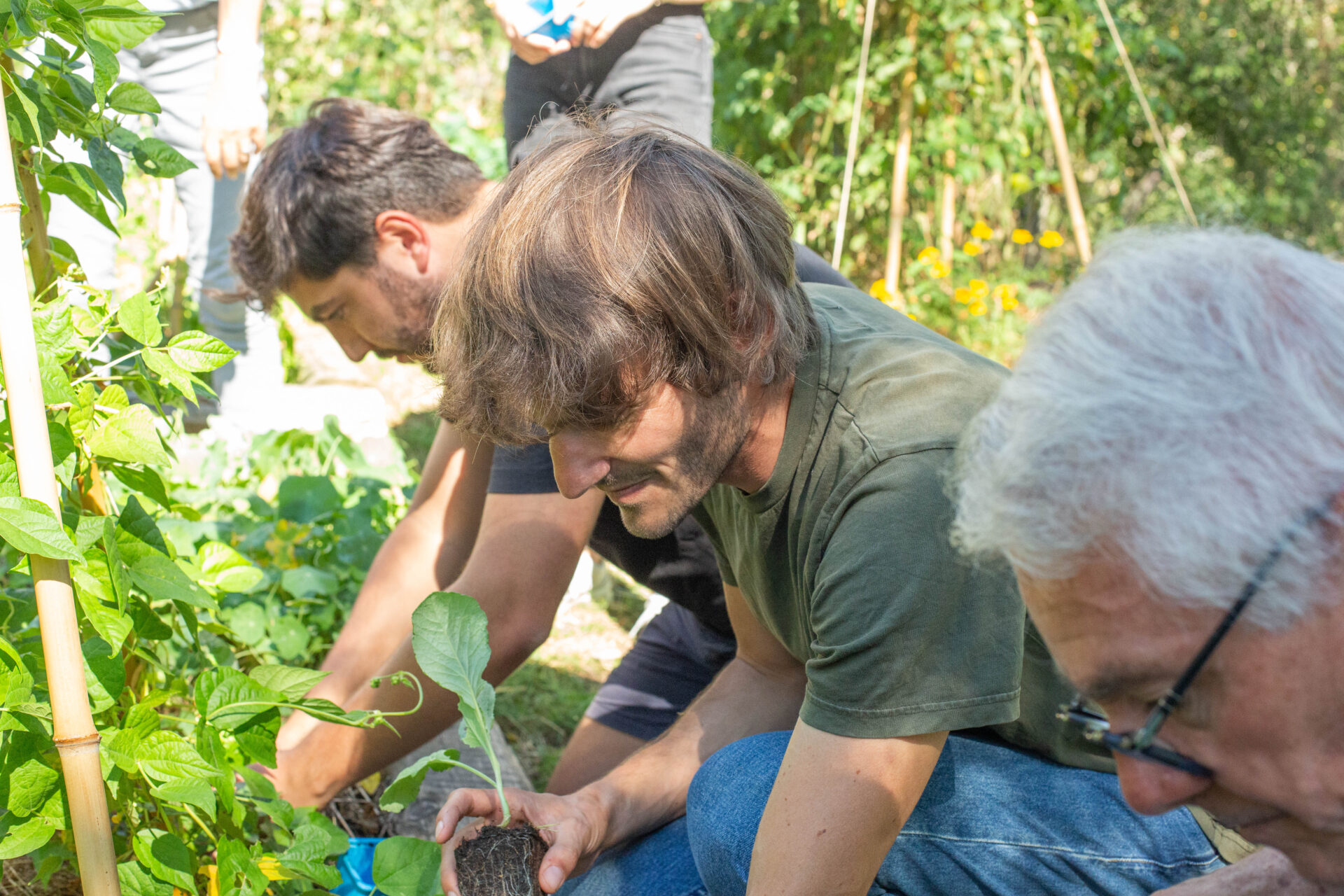 atelier permaculture lyon
