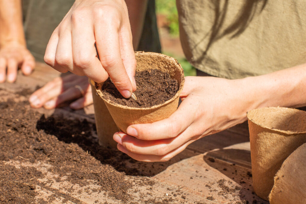 potager permaculture atelier