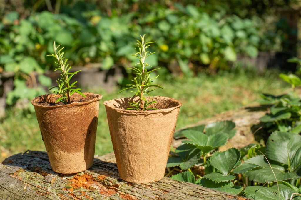 atelier permaculture lyon