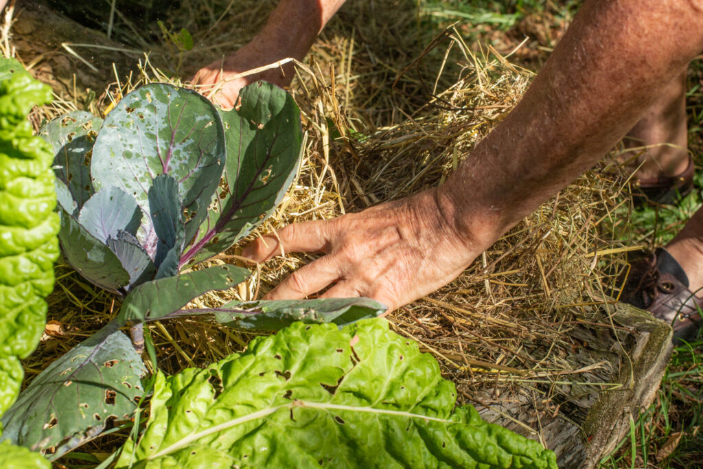 atelier permaculture lyon