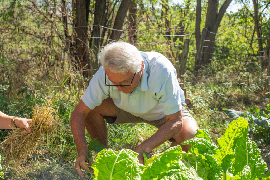 potager permaculture atelier