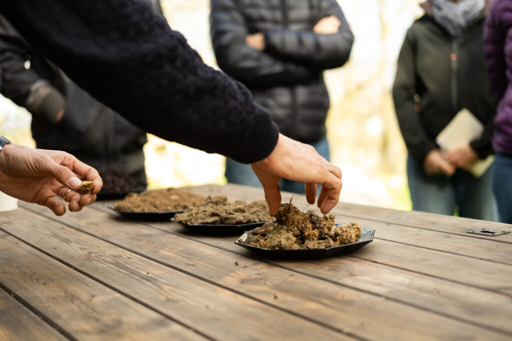 potager permaculture atelier