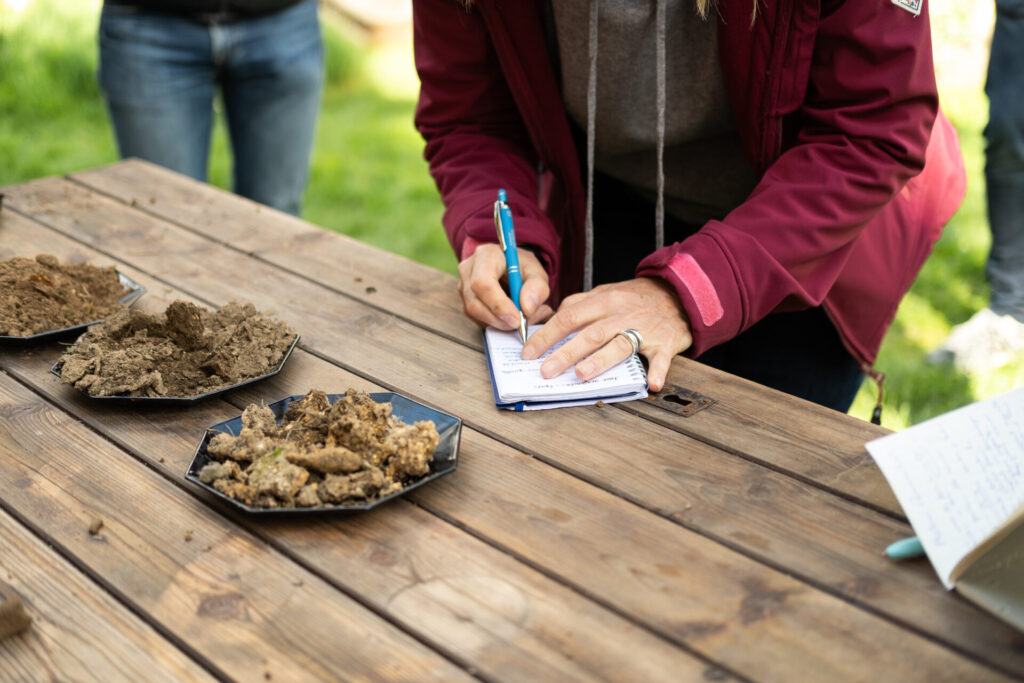 formation permaculture en ligne