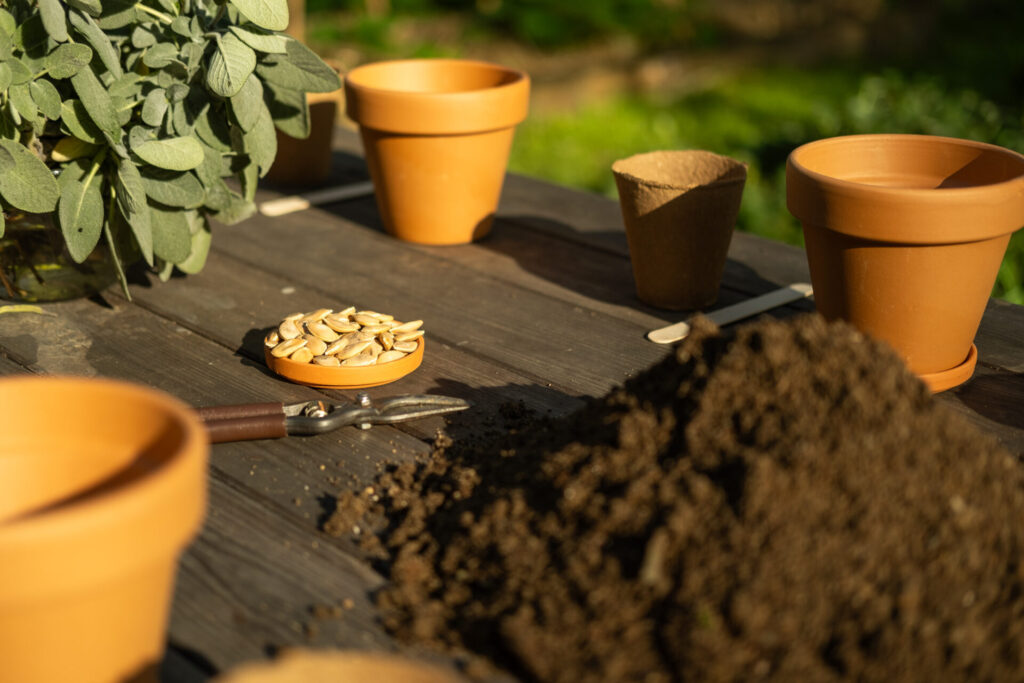 atelier aromatique lyon