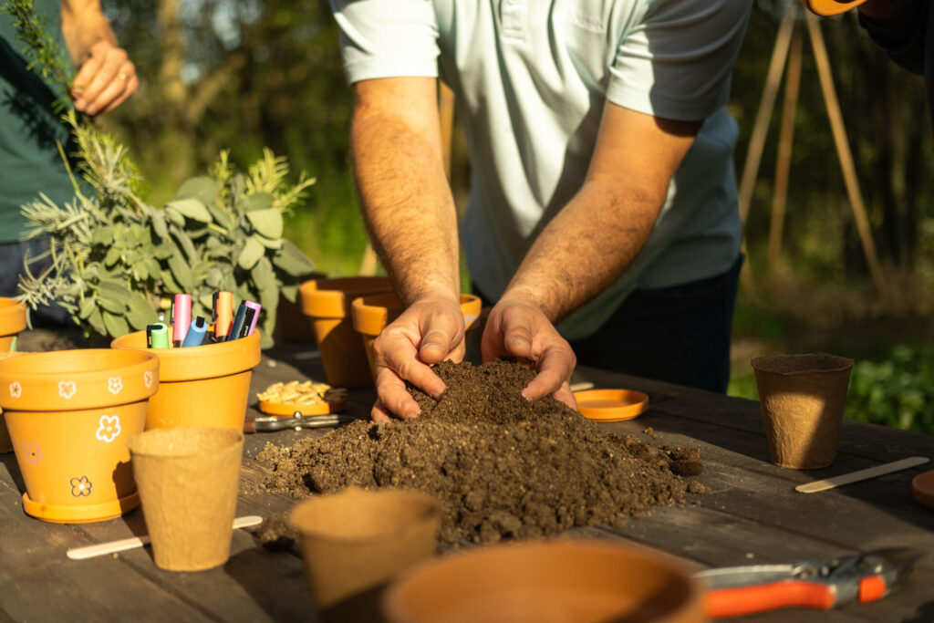 piénu potager permaculture