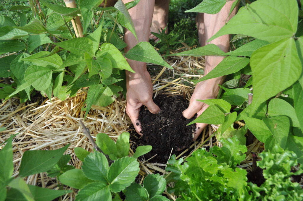 formation permaculture en ligne