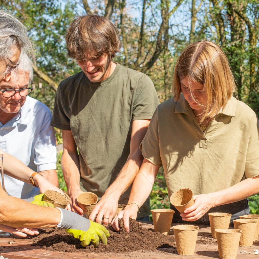 potager permaculture lyon