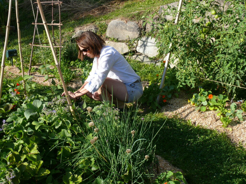 formation permaculture en ligne