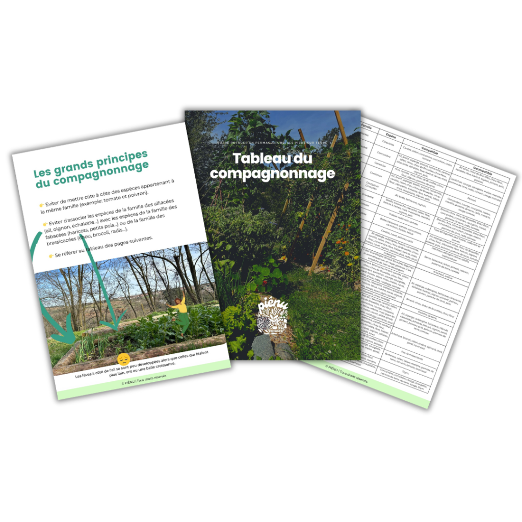 Plan potager