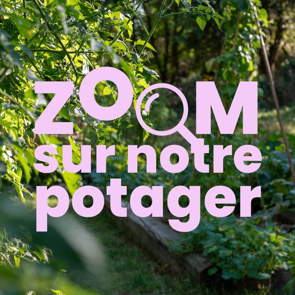 zoom potager permaculture