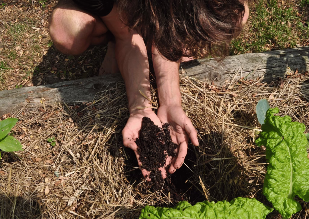 formation permaculture