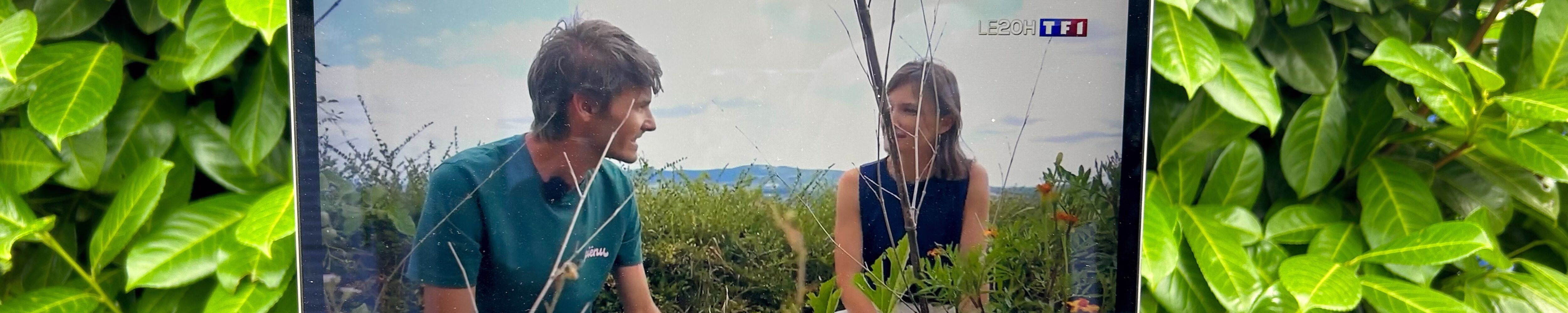 reportage potager Piénu TF1