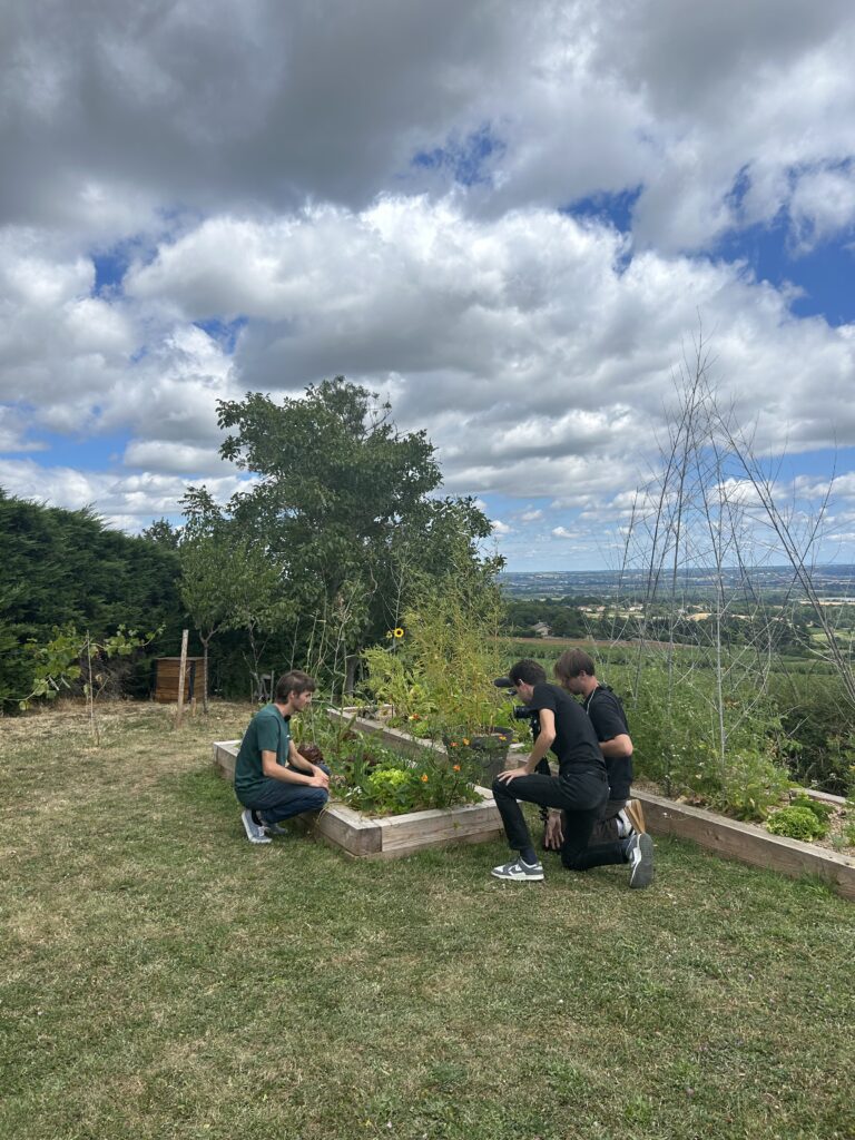 tournage tf1 permaculture