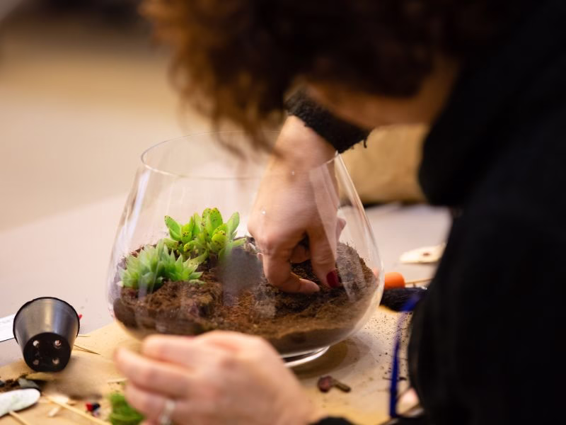 team building rse lyon terrarium