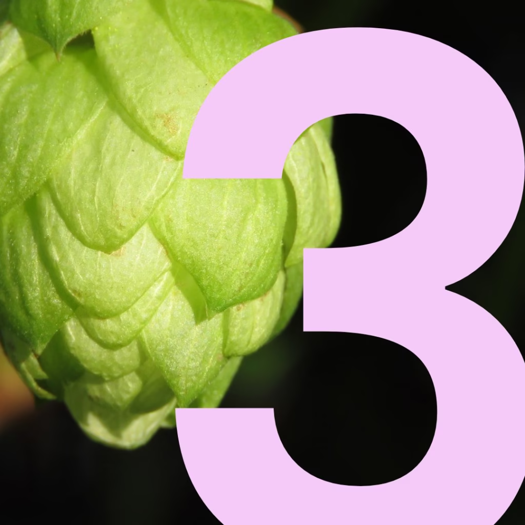 témoignage culture houblon 3