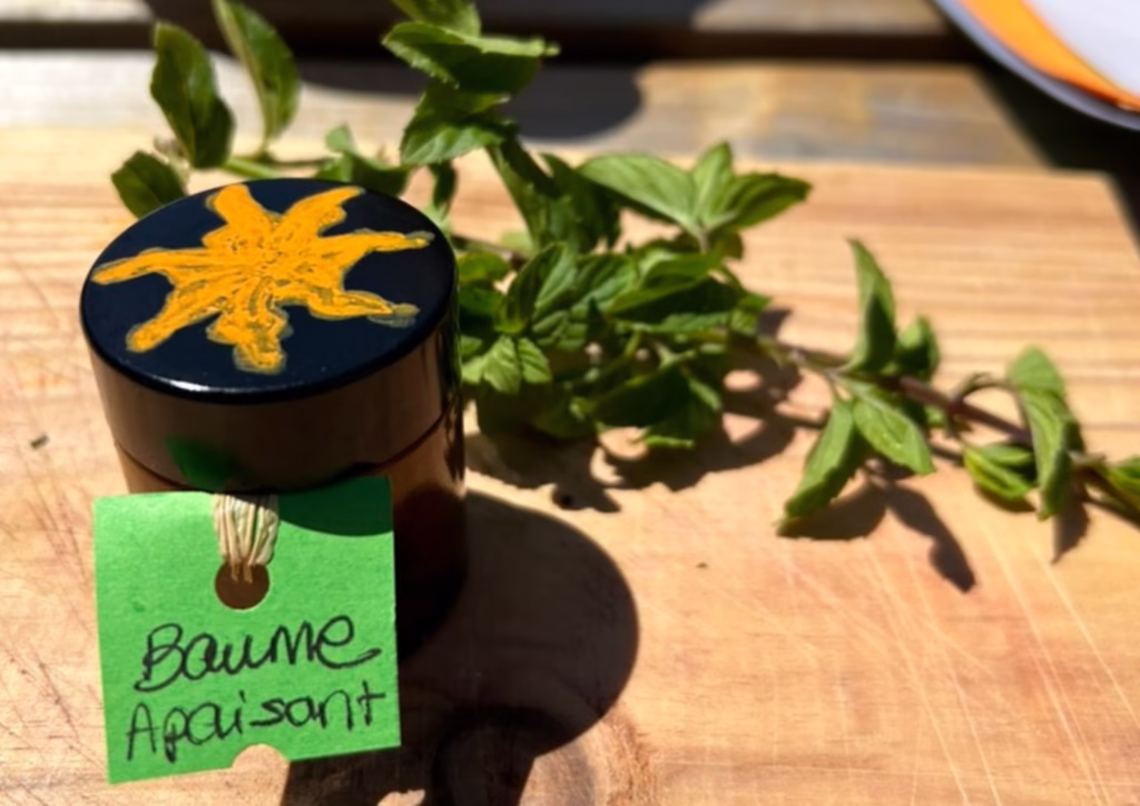 baume animation entreprise lyon potager