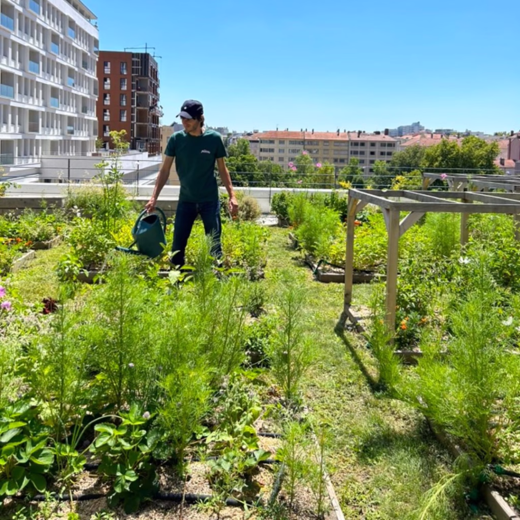 potager AXA lyon