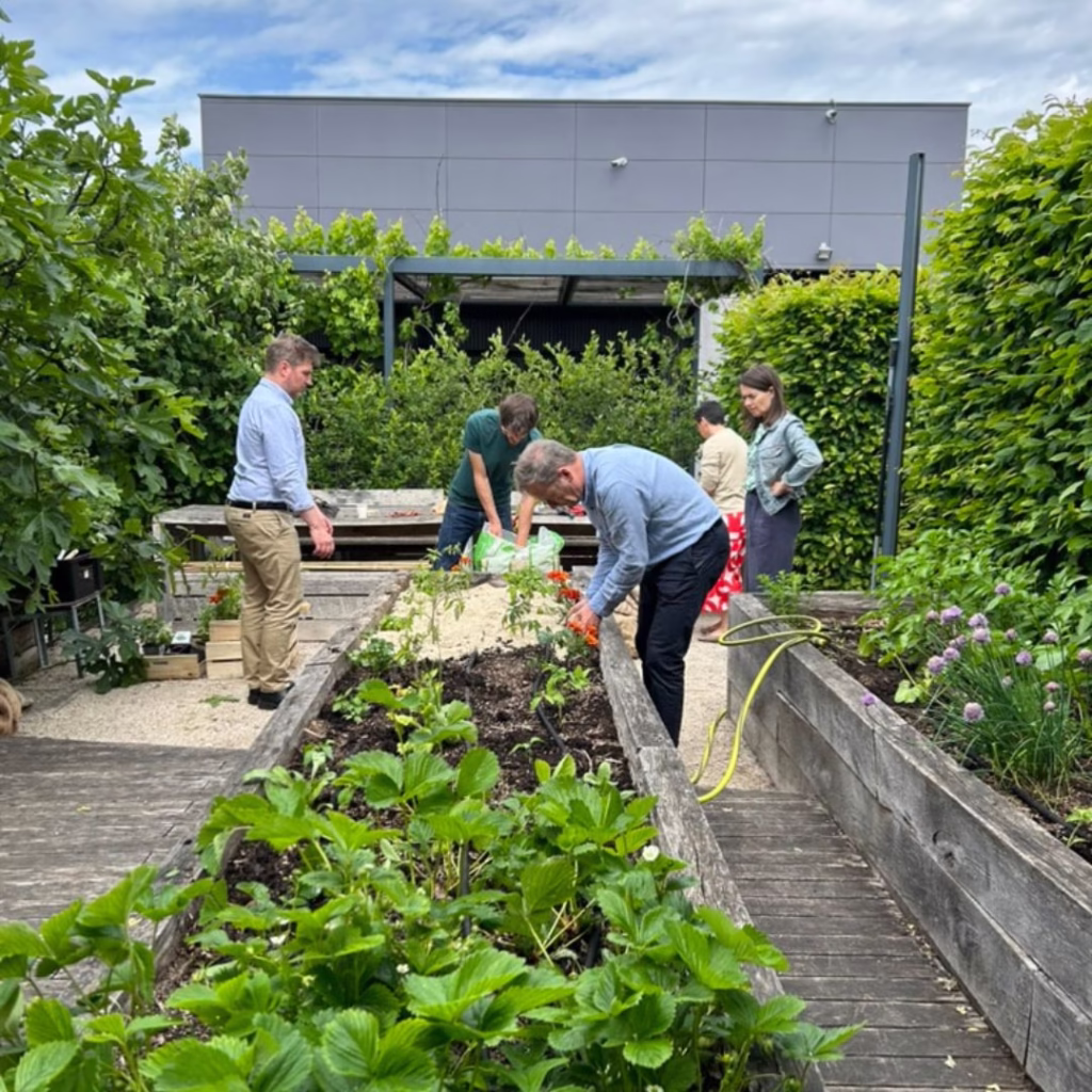 potager KTR Lyon
