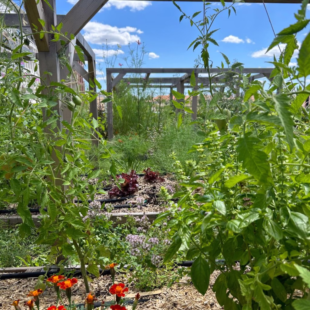 potager permaculture lyon entreprise