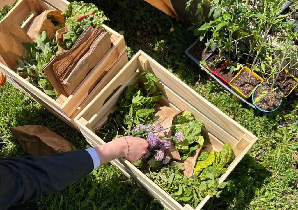 Entretien potager lyon entreprise